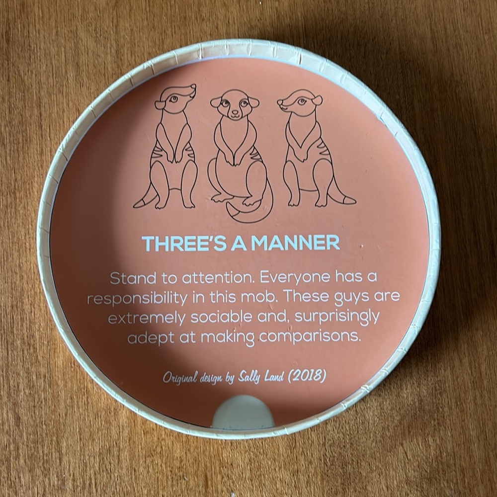 Erstwilder Three’s a Manner Brooch Set - Picture 10 of 10